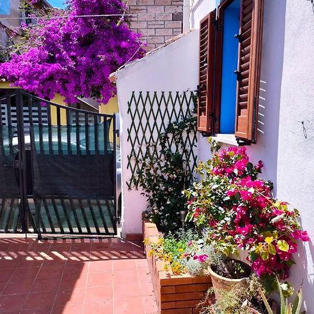 Nel Cortile Della Casa Di Carta, Due Singole Unita Villa Torpè Exteriör bild