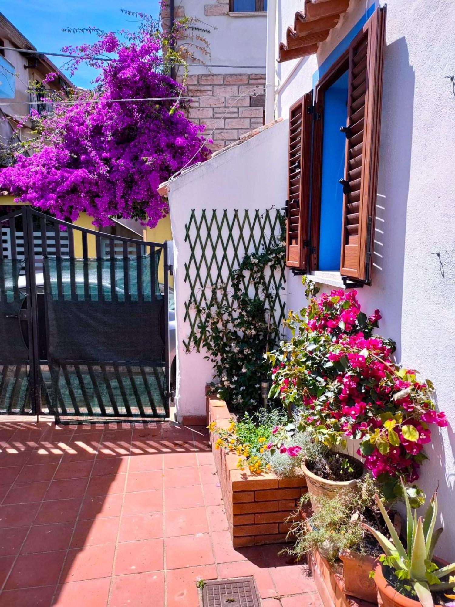 Nel Cortile Della Casa Di Carta, Due Singole Unita Villa Torpè Exteriör bild